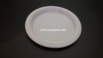 9 inch ps plastic plate