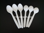 Disposable plastic dessert spoon