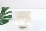 Sugarcane Bagasse biodegradable food containers