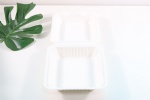 Sugarcane Bagasse biodegradable food containers